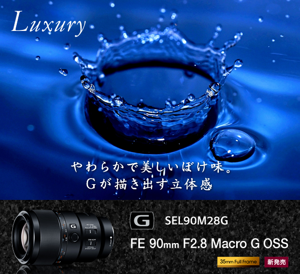 e-lens_sub_SEL90M28G