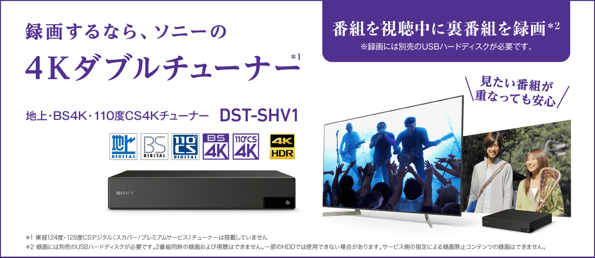 SONY DST-SHV1