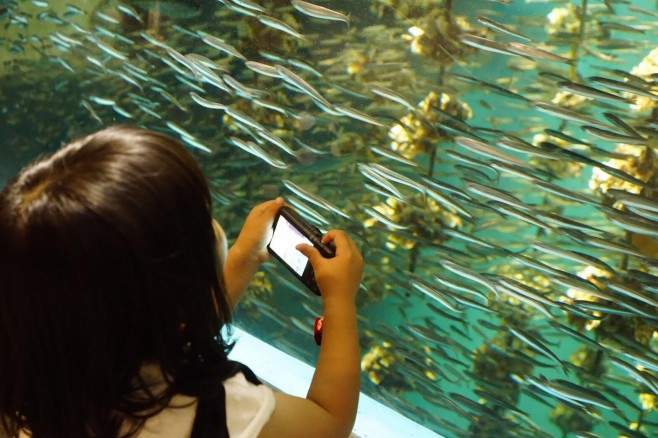 水族館撮り