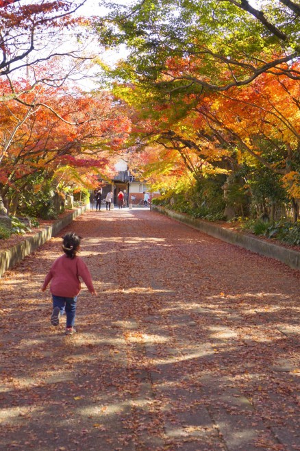 山口　カメラ教室