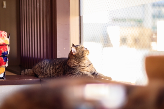 山口　カメラ教室　防府　周南