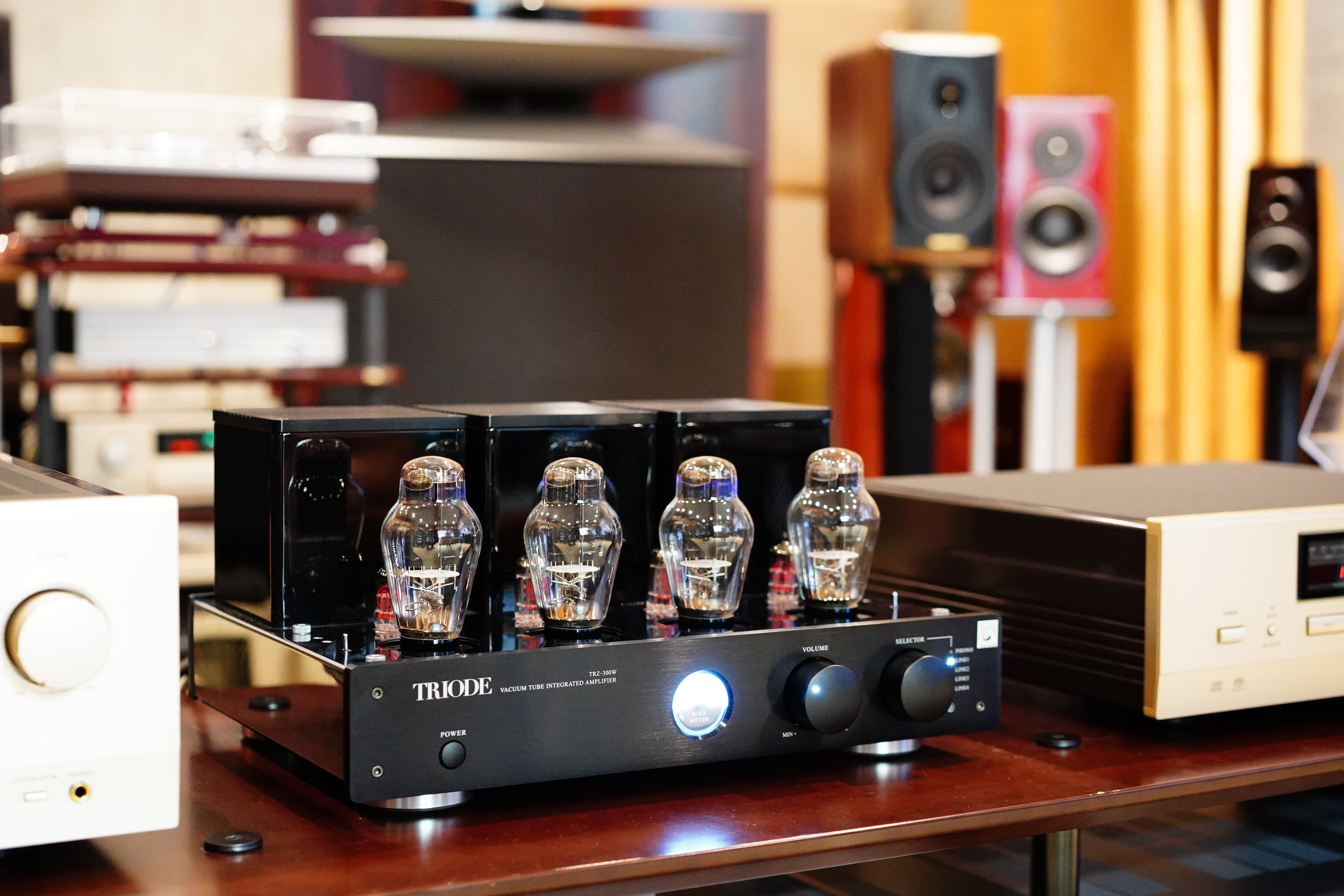 TRIODE TRZ-300W