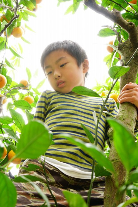 子ども撮り　トンネル構図