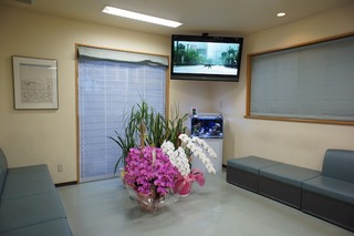 テレビ天吊り工事 BRAVIA