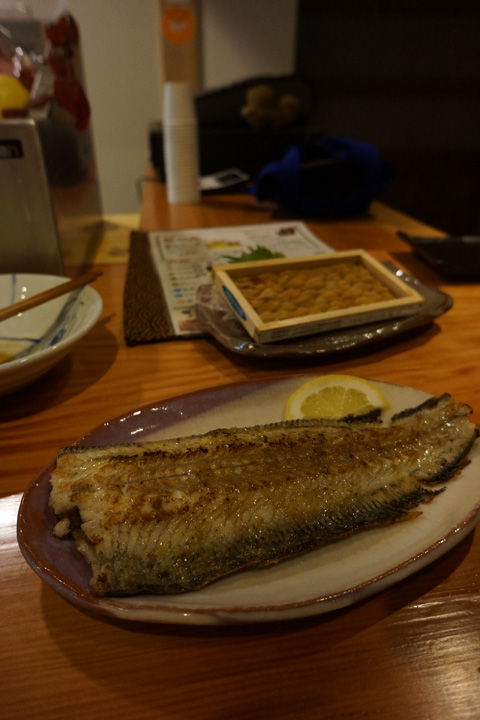 湯田 居魚屋 波柄 