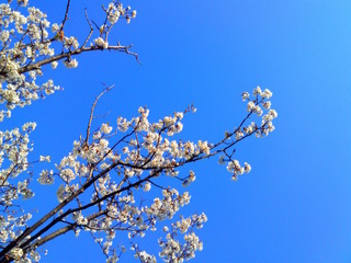 201003261735001