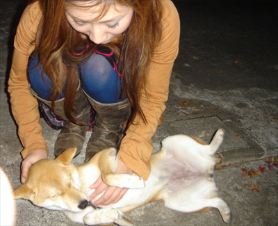 長門峡 看板犬