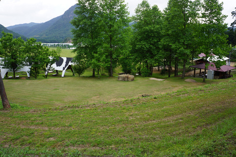 DSC09966