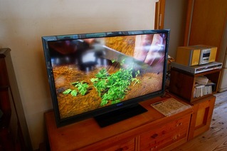 ブラビア ソニー 自由創作いとう