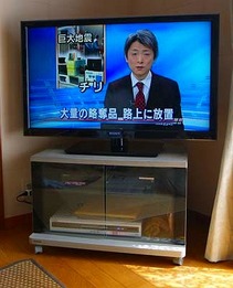 ブラビア F5 W5