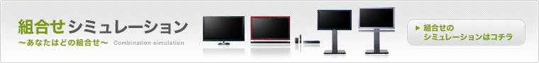 BRAVIA ZX1